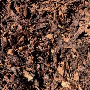 Pine bark